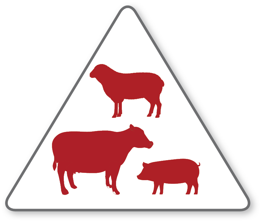Image Sheep Cow Pig