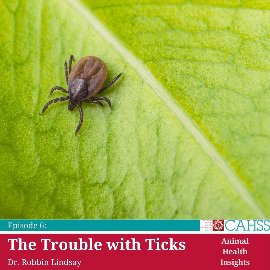 Default 14