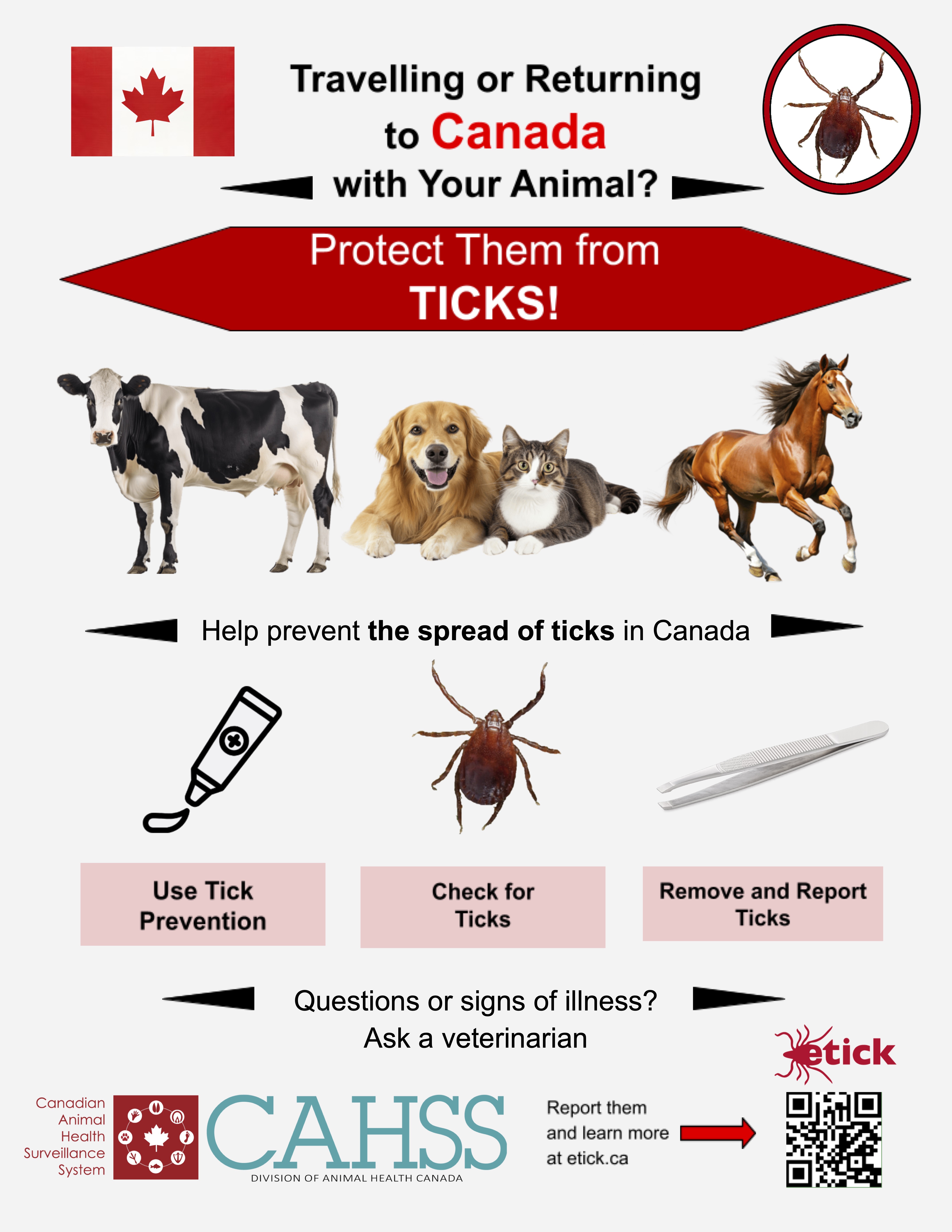 Default Border Tick Poster   En 2 2