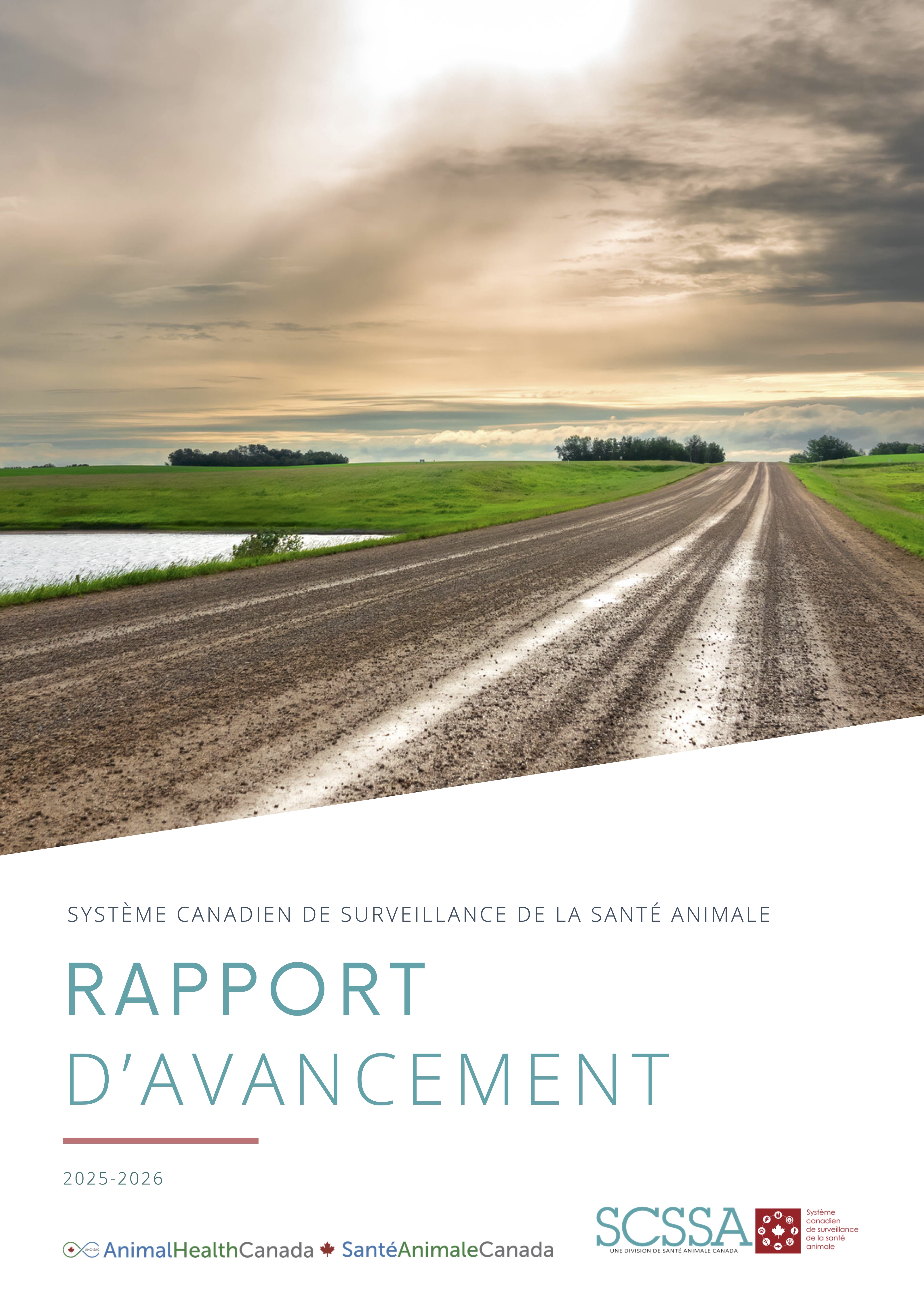 Default Rapport Annuel Des Réalisations Scssa 2025 2026 Vf