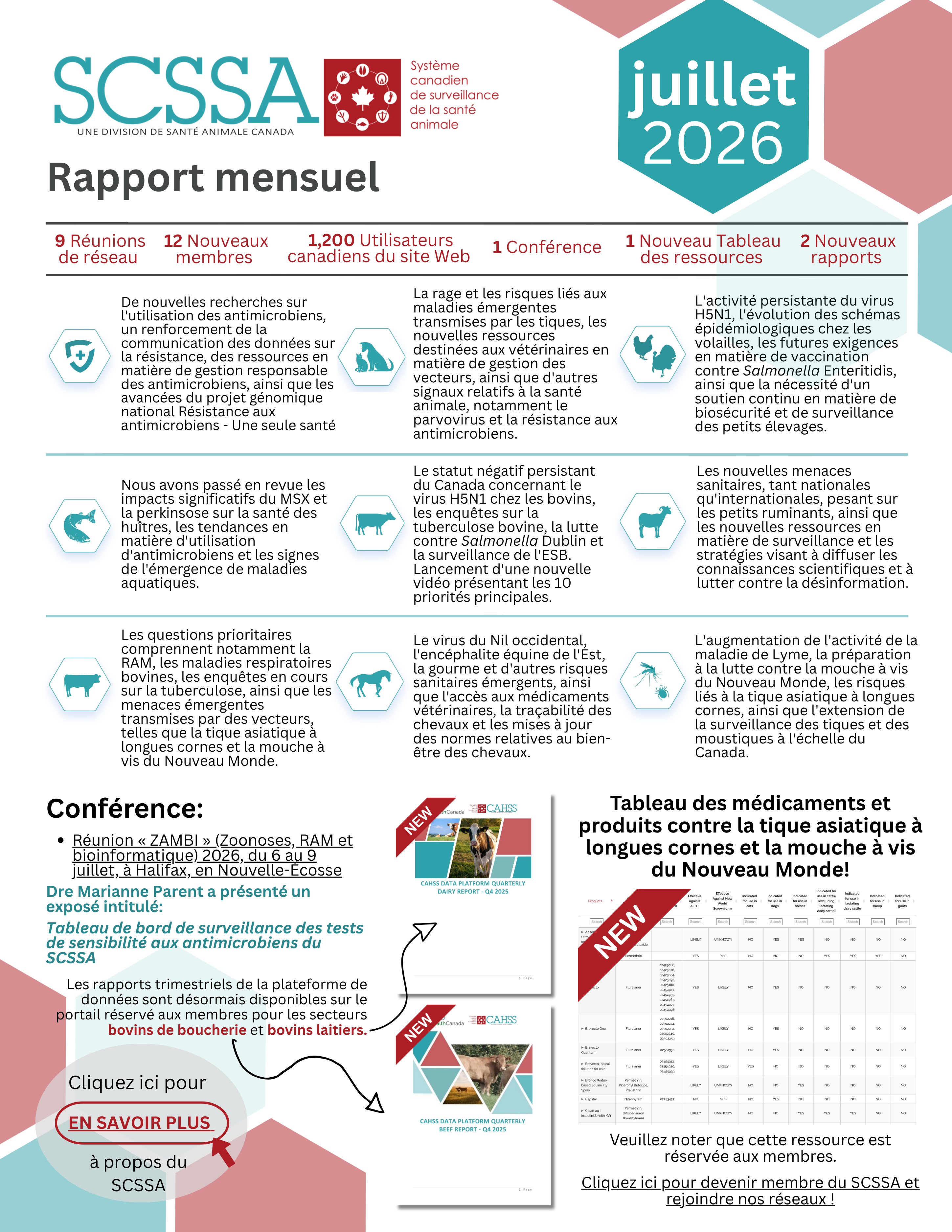 Default Rapport Mensuel Juillet 2026
